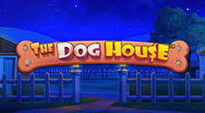 Tragamonedas online The Dog House Peru